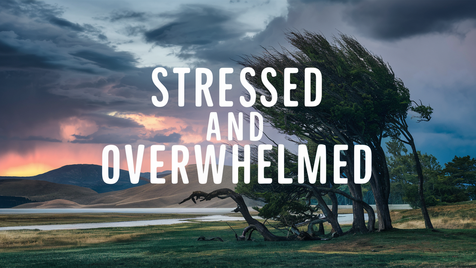 10 Prayers for When You're Stressed and Overwhelmed